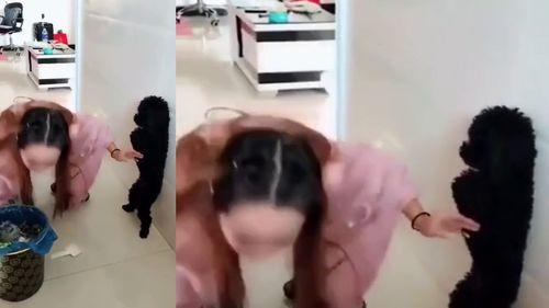 佛妹被人爆料视频,揭秘网络舆论背后的真相  第2张